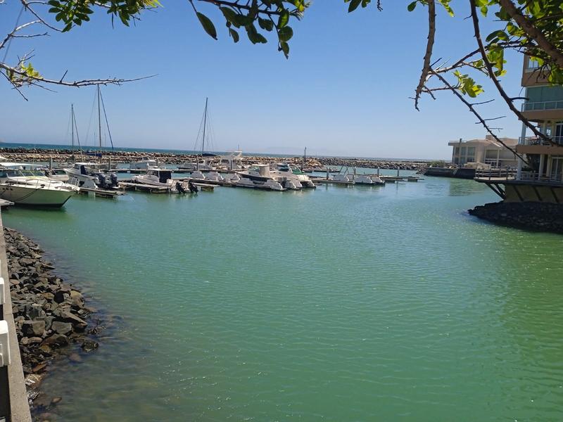 1 Bedroom Property for Sale in Harbour Island Western Cape